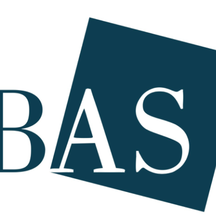 Brussels Art Square Festival