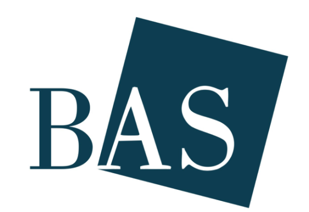 Brussels Art Square Festival